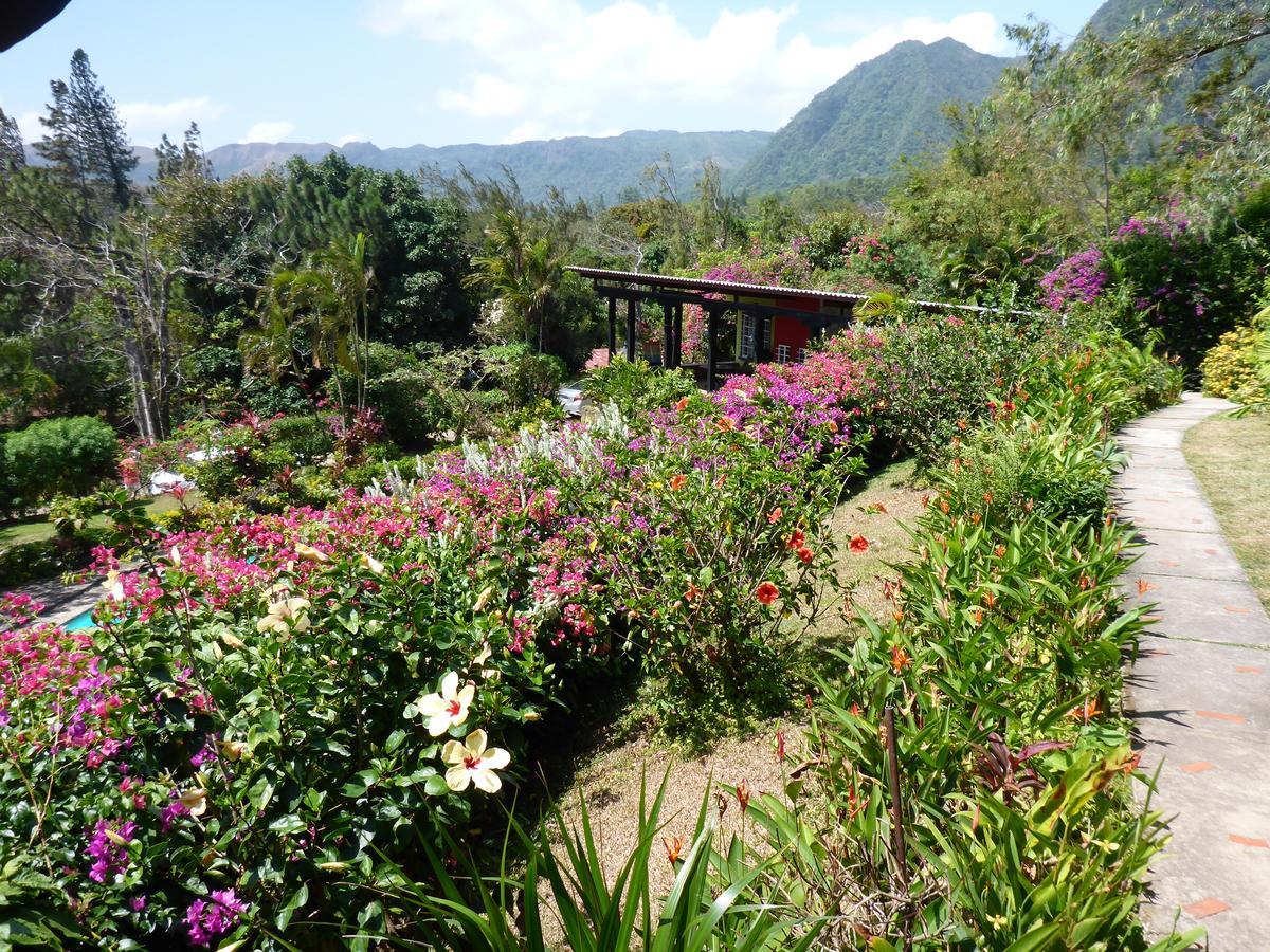 The Golden Frog Inn El Valle de Anton Εξωτερικό φωτογραφία
