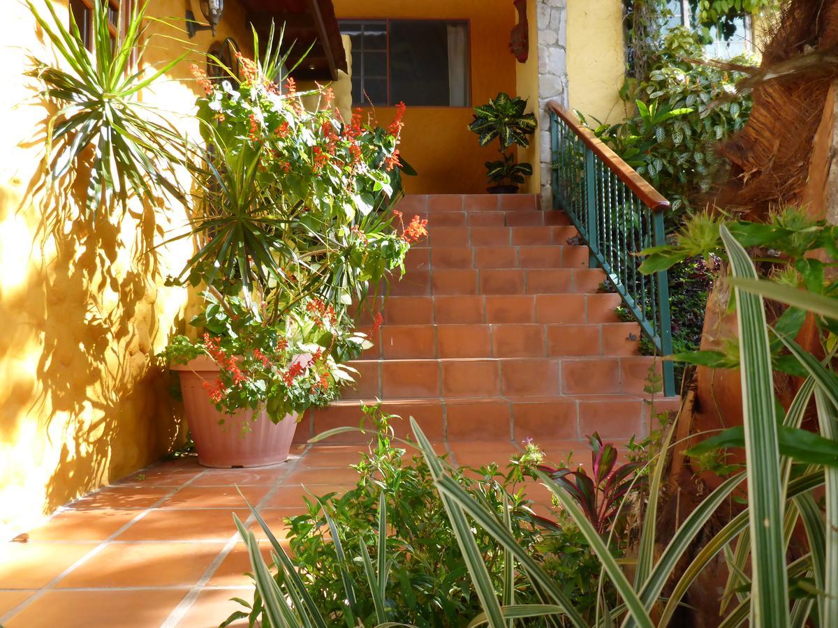The Golden Frog Inn El Valle de Anton Εξωτερικό φωτογραφία