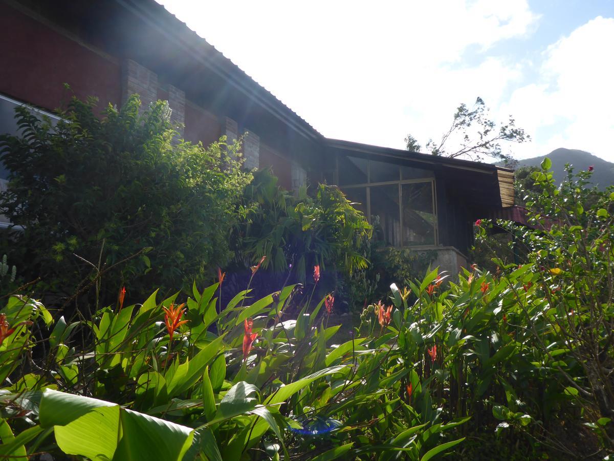 The Golden Frog Inn El Valle de Anton Εξωτερικό φωτογραφία